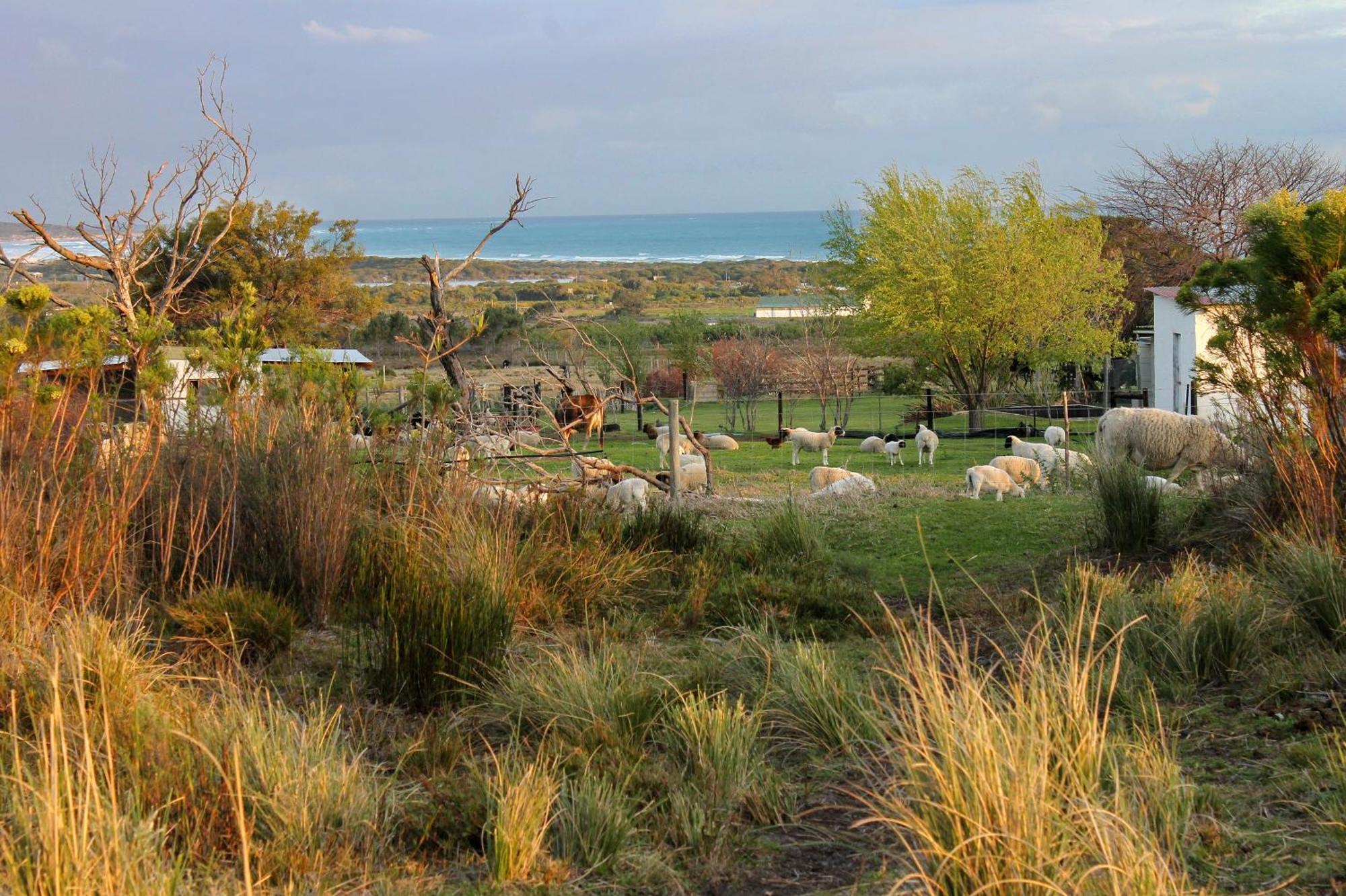 فيلا Blombos Self-Catering House Franskraalstrand المظهر الخارجي الصورة
