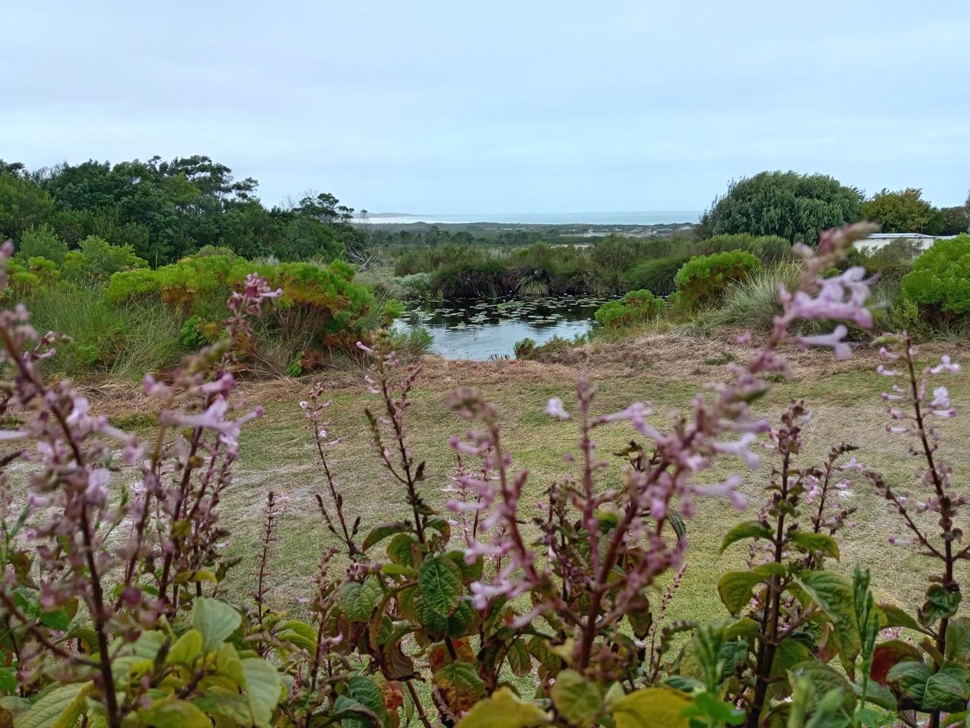 فيلا Blombos Self-Catering House Franskraalstrand المظهر الخارجي الصورة